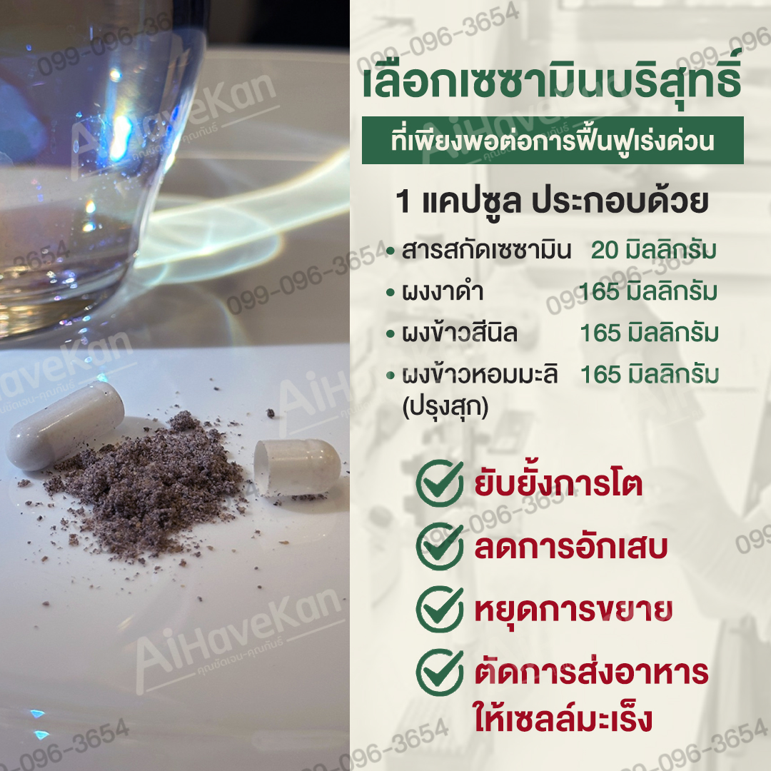 เซซามิน 1 แคปซูล ประกอบด้วย