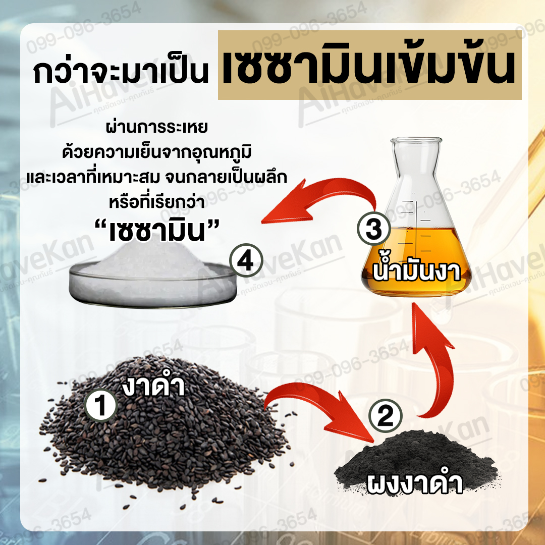 กว่าจะมาเป็น เซซามินเข้มข้น
