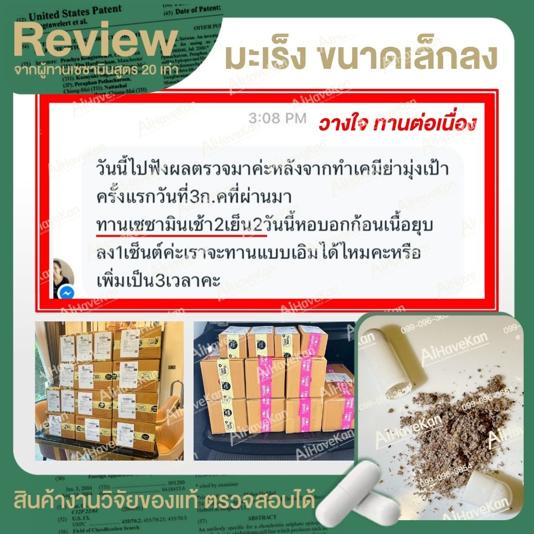 ทานเซซามิน มะเร็ง ยุบ