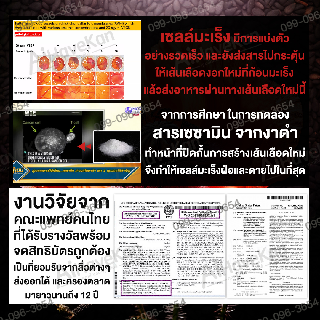 เซซามิน วิจัย-จดสิทธิบัตร