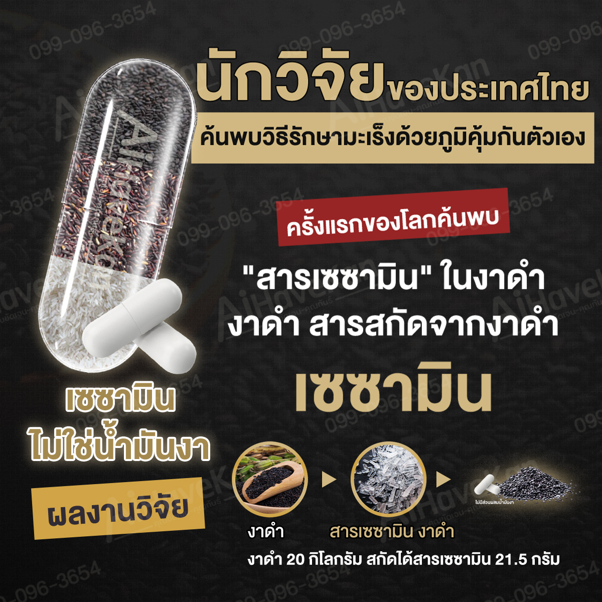 เซซามินงานวิจัยไทย