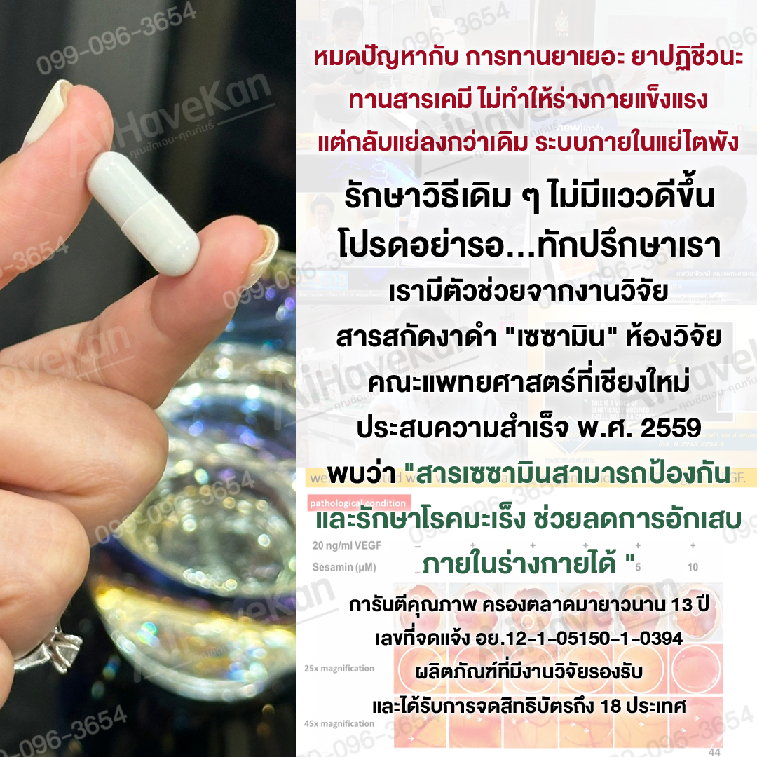 เซซามิน หมดปัญหากับ การทานยาเยอะ