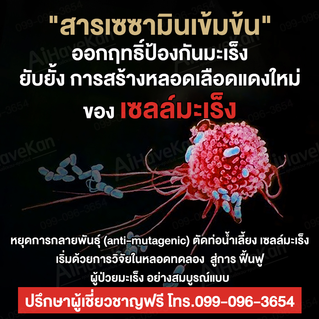 เซซามิน ออกฤทธิ์ป้องกันมะเร็ง