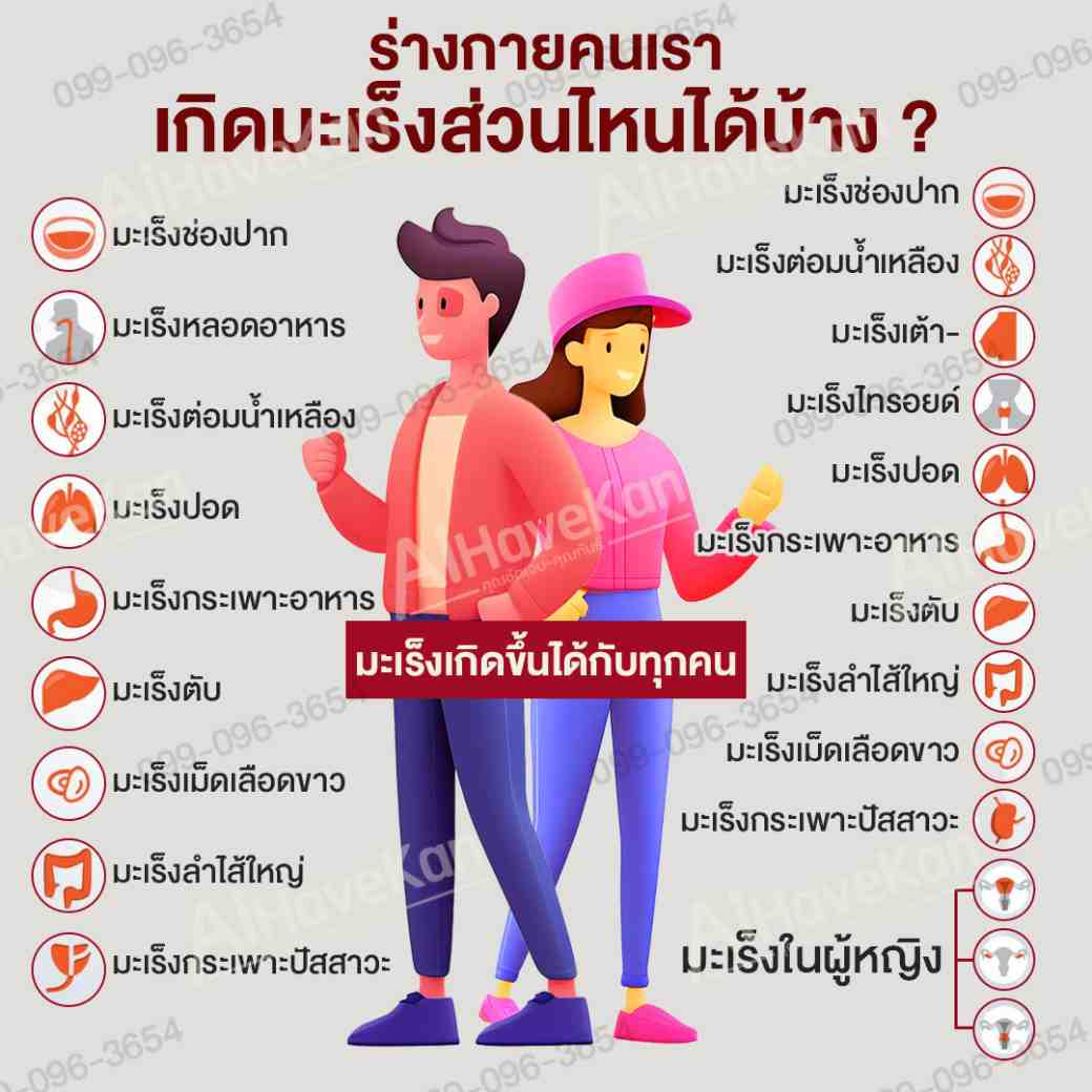 เกิด มะเร็ง ส่วนไหนได้